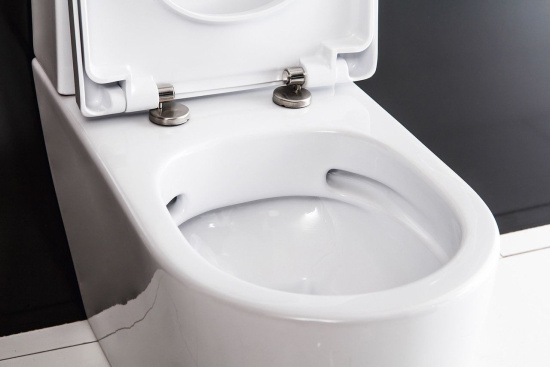 Чаша для унитаза-компакта BelBagno Marino BB105CPR