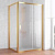 Душевой уголок Vegas Glass ZP+ZPV 120*100 09 02 профиль золото, стекло шиншилла