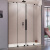 Душевая дверь в нишу Radaway Furo Black DWD 140