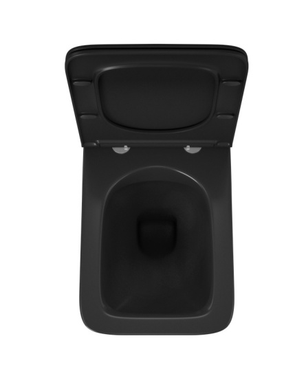 Подвесной унитаз Owl 1975 Vatter Ruta-H Matt Black OWLT190404 безободковый