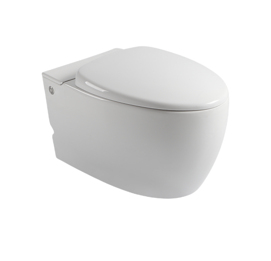 Подвесной унитаз Cerutti SPA Kanin Aria CT7186 с функцией импульсного смыва