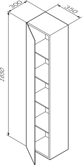 Пенал Am.Pm Spirit V2.0 35 L подвесной, зеркало, глубокий синий