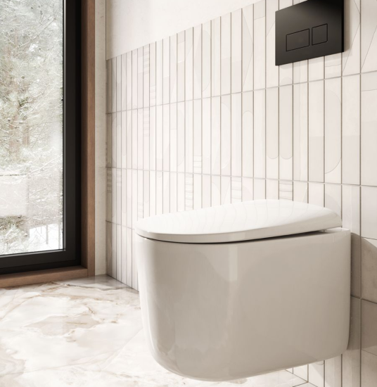 Унитаз подвесной Boheme Flow 969-SET-L с сидением