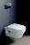 Унитаз подвесной Villeroy & Boch Omnia Architectura 5684HR01 alpin, безободковый