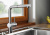 Смеситель для кухни Blanco Linus-S-F 514023 Смеситель для кухни Blanco Linus-S-F 514023