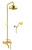 Душевая стойка Fiore Margot Sky (Swarovski®) 01OO0615 золото