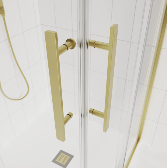 Душевой уголок Veconi Evo 300 G 100x90