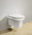 Крышка-сиденье BelBagno BB2111SC с микролифтом, петли хром