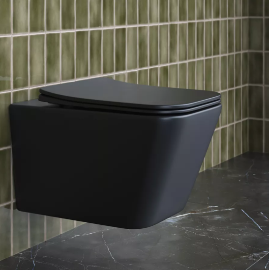 Подвесной унитаз Ceramicanova Metric Rimless CN3007MB