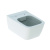 Унитаз подвесной Geberit iCon Square Унитаз подвесной Geberit iCon Square