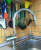 Смеситель для кухни Grohe Minta 32321000