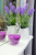 Зеркало Sanflor Софи 85 Зеркало Sanflor Софи 85
