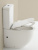 Унитаз-компакт BelBagno Sfera-r BB2141CPR