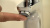 Смеситель для раковины Hansgrohe Focus E2 31733000 Смеситель для раковины Hansgrohe Focus E2 31733000