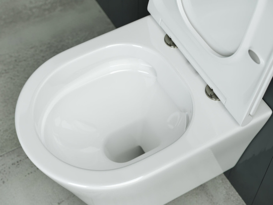 Подвесной унитаз Ceramicanova Forma Rimless CN3011