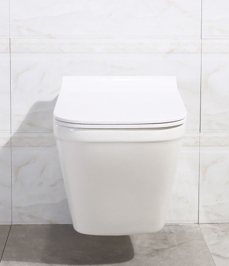 Чаша для унитаза подвесного BelBagno Dory BB522ACHR безободковая