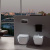 Чаша для унитаза подвесного Villeroy & Boch Legato 5663R001 alpin