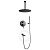 Душевая система Filarete Roun FL1022BG, графит