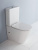Крышка-сиденье BelBagno BB2111SC с микролифтом, петли хром