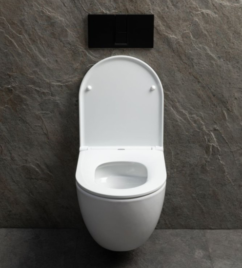 Инсталляция Geberit Duofix Delta 458.175.00.1 с кнопкой + унитаз подвесной WeltWasser Michigan 485 WT