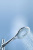 Душевой гарнитур Grohe Rainshower icon 27529000 Душевой гарнитур Grohe Rainshower icon 27529000