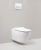 Крышка-сиденье BelBagno BB2111SC с микролифтом, петли хром