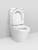 Унитаз-компакт Am.Pm Inspire C508607WH