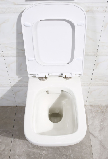 Чаша для унитаза подвесного BelBagno Dory BB522ACHR безободковая