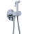 Гигиенический душ Allen Brau Liberty 5.33005-00 со смесителем