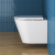 Инсталляция Viega Prevista Dry 792831 с кнопкой + унитаз подвесной BelBagno Tre BB8001CHR/SC Инсталляция Viega Prevista Dry 792831 с кнопкой + унитаз подвесной BelBagno Tre BB8001CHR/SC
