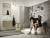Душевая лейка Hansgrohe Pulsify Select 105 3jet 24101000