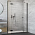 Душевая дверь в нишу Radaway Essenza New Black DWJS 140 L