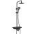 Душевая стойка Weltwasser WW DP 1020 BL