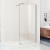 Душевая перегородка Weltwasser WW400 Walk-In 120G-1 Душевая перегородка Weltwasser WW400 Walk-In 120G-1