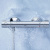 Смеситель с термостатом для душа Grohe Grohtherm 800 34558000