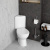 Унитаз-компакт VitrA Arkitekt 9754B003-7200 угловой Унитаз-компакт VitrA Arkitekt 9754B003-7200 угловой