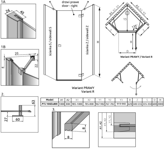 Душевой уголок Radaway Essenza New PTJ 100х80 R