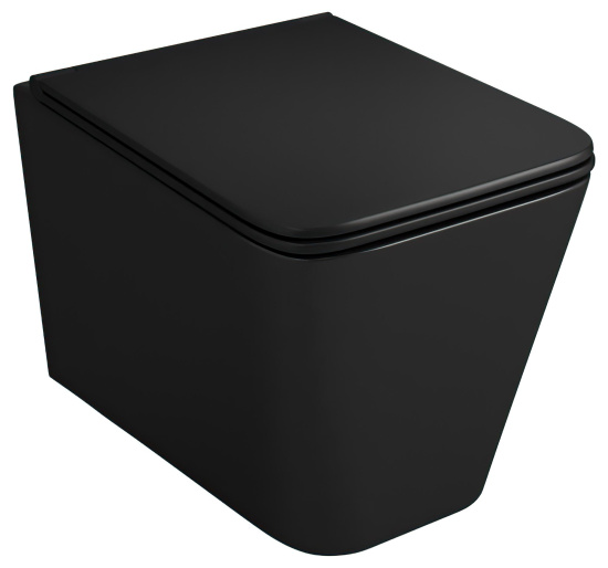 Подвесной унитаз Owl 1975 Vatter Ruta-H Matt Black OWLT190404 безободковый