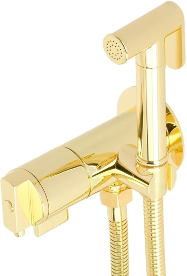 Гигиенический душ Migliore Fortis 31558 со смесителем, золото