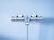 Смеситель с термостатом для ванны Grohe Grohtherm 800 34564000