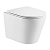 Подвесной унитаз WeltWasser Salzbach 043 GL-WT