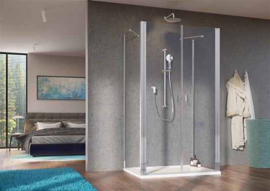 Душевой уголок Radaway Nes DWD+2S 120x80