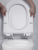 Подвесной унитаз beWash Aldo BKWHR401480 с сиденьем микролифт
