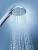 Душевая лейка Grohe Relexa Five 28796000