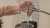 Смеситель для кухни Hansgrohe Talis Select M51 72822000 хром