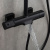 Душевая стойка Gappo G2495-76 черная матовая Душевая стойка Gappo G2495-76 черная матовая