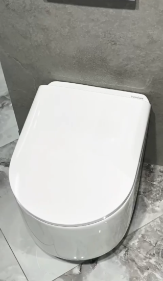 Унитаз подвесной Boheme Flow 969-SET-D с сидением